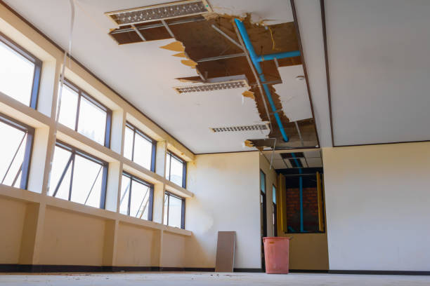Best Local water damage restoration  in Britton, SD