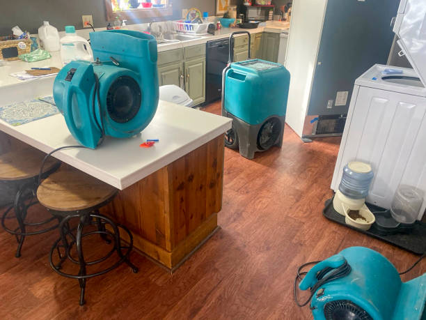 Best Ceiling water damage repair  in Britton, SD