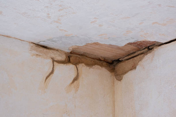 Trusted SD Water damage restoration Experts