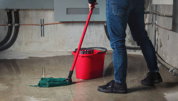 Best Flood damage cleanup  in Britton, SD
