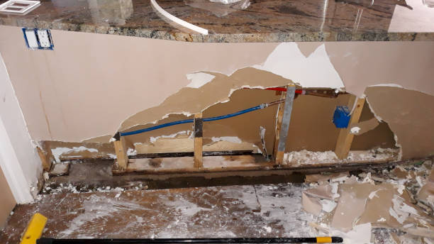 Best Ceiling water damage repair  in Britton, SD
