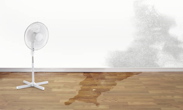 Best 24-hour water damage restoration  in Britton, SD