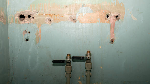 Best Commercial water damage restoration  in Britton, SD