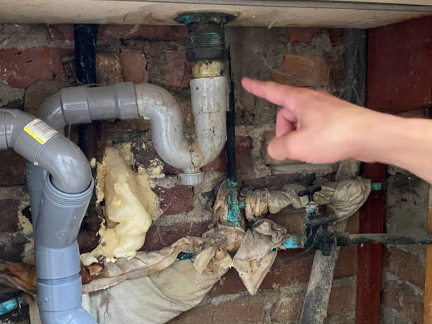 Best Basement water damage restoration  in Britton, SD
