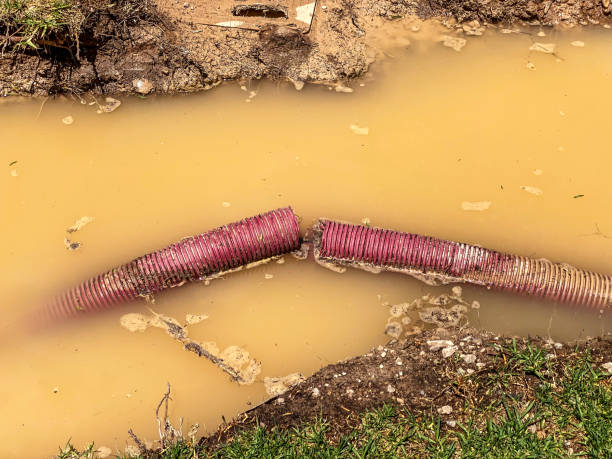 Best Carpet water damage restoration  in Britton, SD